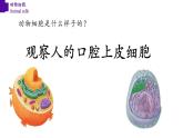 2.1.3+動物細胞-【精華備課】2023-2024學年七年級生物上冊同步教學課件（人教版）