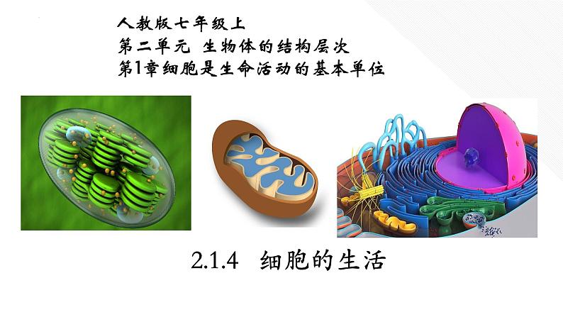 2.1.4 细胞的生活第1页