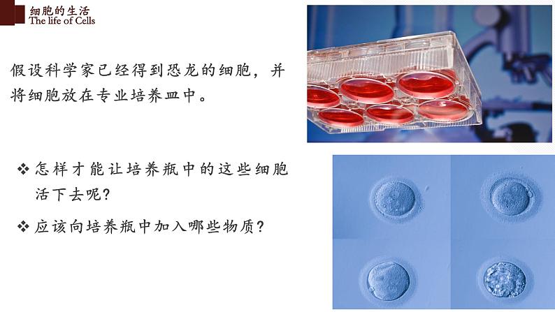 2.1.4 细胞的生活第6页