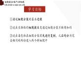 2.2.1+细胞通过分裂产生新细胞-【精华备课】2023-2024学年七年级生物上册同步教学课件（人教版）