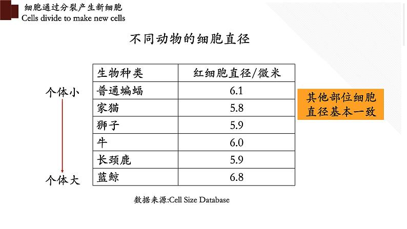 2.2.1 细胞通过分裂产生新细胞第5页