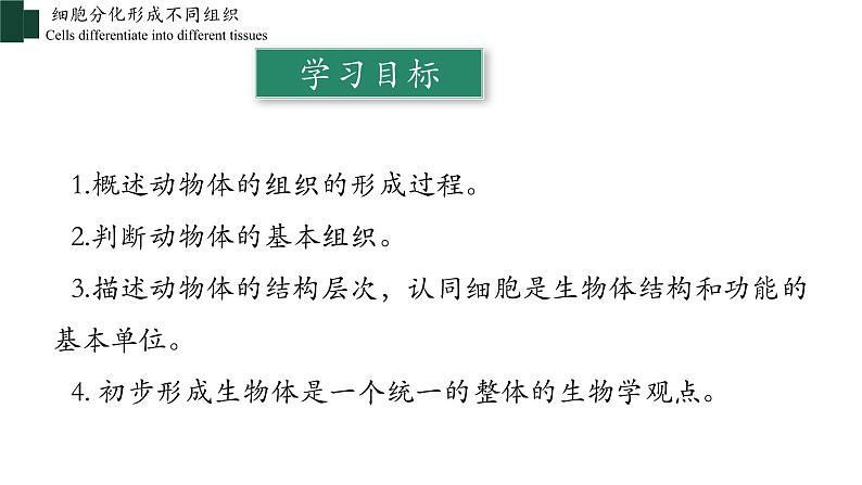 2.2.2+动物体的结构层次-【精华备课】2023-2024学年七年级生物上册同步教学课件（人教版）02