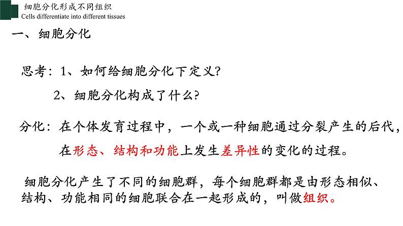 2.2.2+动物体的结构层次-【精华备课】2023-2024学年七年级生物上册同步教学课件（人教版）08