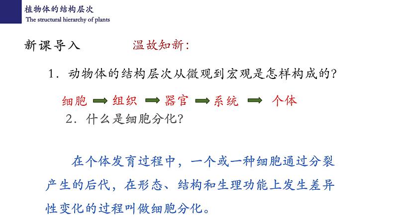 2.2.3 植物体的结构层次第2页