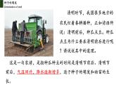 3.2.1+种子的萌发-【精华备课】2023-2024学年七年级生物上册同步教学课件（人教版）