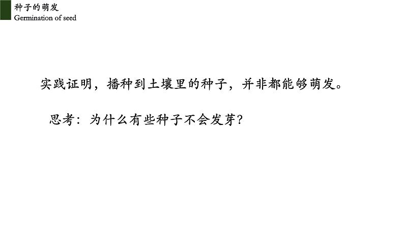 3.2.1+种子的萌发-【精华备课】2023-2024学年七年级生物上册同步教学课件（人教版）06