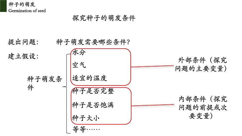 3.2.1+种子的萌发-【精华备课】2023-2024学年七年级生物上册同步教学课件（人教版）07