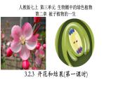 3.2.3+开花和结果（2课时）-【精华备课】2023-2024学年七年级生物上册同步教学课件（人教版）