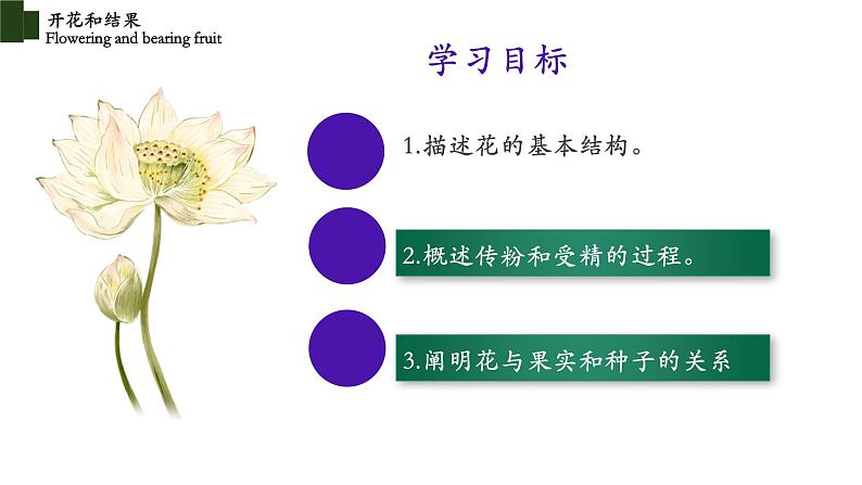 3.2.3+开花和结果（2课时）-【精华备课】2023-2024学年七年级生物上册同步教学课件（人教版）02