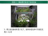 3.4+绿色植物是生物圈中有机物的制造者-【精华备课】2023-2024学年七年级生物上册同步教学课件（人教版）