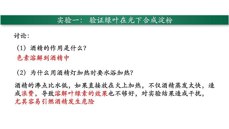 3.4+绿色植物是生物圈中有机物的制造者-【精华备课】2023-2024学年七年级生物上册同步教学课件（人教版）07