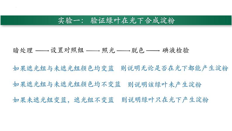 3.4+绿色植物是生物圈中有机物的制造者-【精华备课】2023-2024学年七年级生物上册同步教学课件（人教版）08