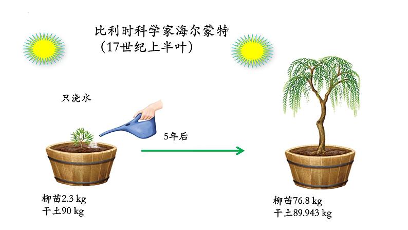 3.5.1 光合作用吸收二氧化碳释放氧气第4页