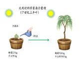 3.5.1+光合作用吸收二氧化碳释放氧气-【精华备课】2023-2024学年七年级生物上册同步教学课件（人教版）