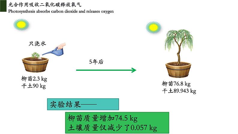 3.5.1 光合作用吸收二氧化碳释放氧气第5页