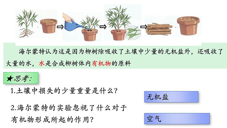 3.5.1 光合作用吸收二氧化碳释放氧气第6页