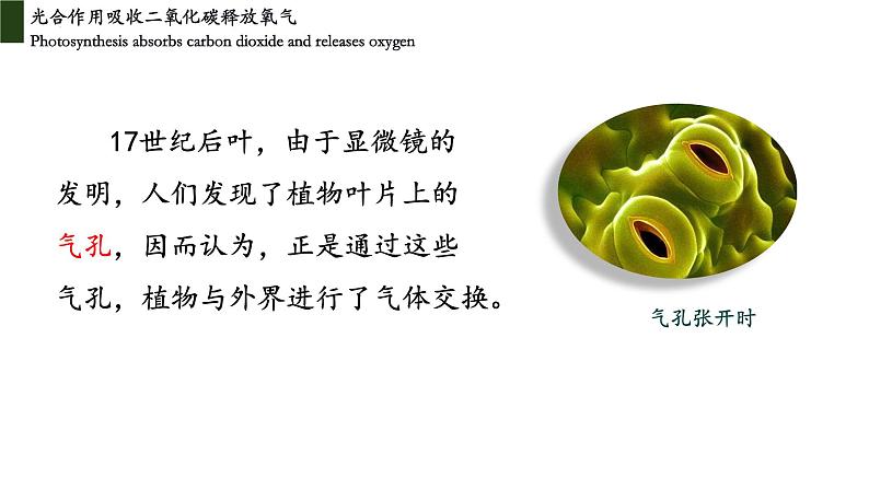 3.5.1 光合作用吸收二氧化碳释放氧气第8页