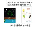 3.5.2+绿色植物的呼吸作用-【精华备课】2023-2024学年七年级生物上册同步教学课件（人教版）