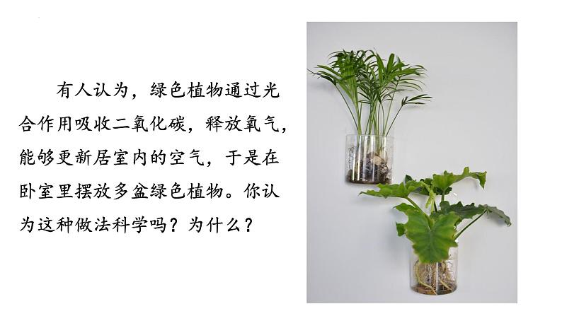 3.5.2 绿色植物的呼吸作用第2页