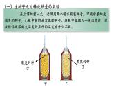 3.5.2+绿色植物的呼吸作用-【精华备课】2023-2024学年七年级生物上册同步教学课件（人教版）