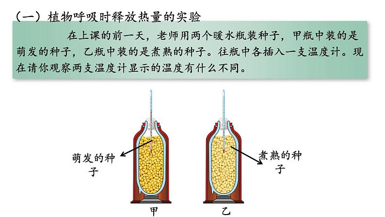 3.5.2 绿色植物的呼吸作用第4页