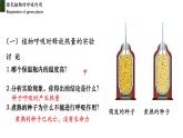 3.5.2+绿色植物的呼吸作用-【精华备课】2023-2024学年七年级生物上册同步教学课件（人教版）