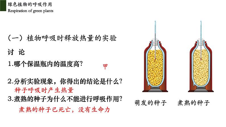 3.5.2 绿色植物的呼吸作用第5页