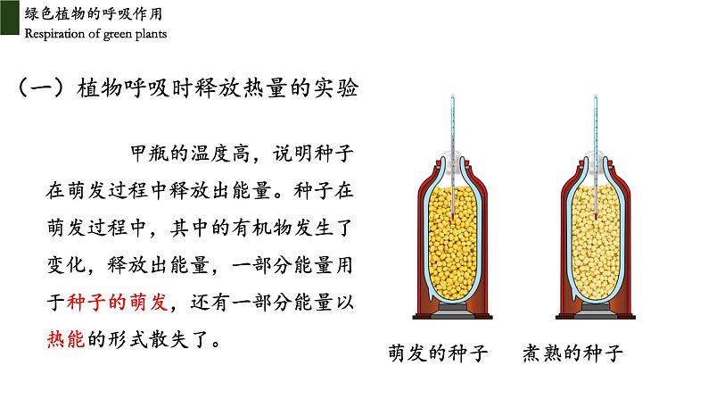 3.5.2 绿色植物的呼吸作用第6页