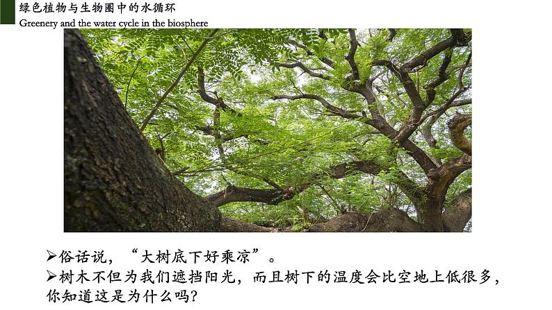 3.3+绿色植物与生物圈中的水循环（第三课时、蒸腾作用）-【精华备课】2023-2024学年七年级生物上册同步教学课件（人教版）02