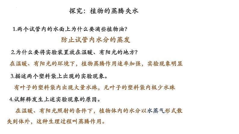 3.3+绿色植物与生物圈中的水循环（第三课时、蒸腾作用）-【精华备课】2023-2024学年七年级生物上册同步教学课件（人教版）05