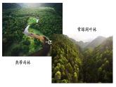 3.6+爱护植被、绿化祖国-【精华备课】2023-2024学年七年级生物上册同步教学课件（人教版）