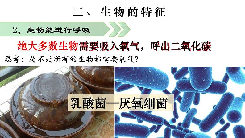 1.1.1 生物的特征-【新课标】2023-2024学年七年级生物上册精选课件（人教版）第7页