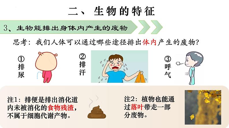 1.1.1 生物的特征-【新课标】2023-2024学年七年级生物上册精选课件（人教版）第8页