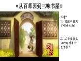 1.1.2 調(diào)查周邊環(huán)境中的生物-【新課標】2023-2024學(xué)年七年級生物上冊精選課件（人教版）