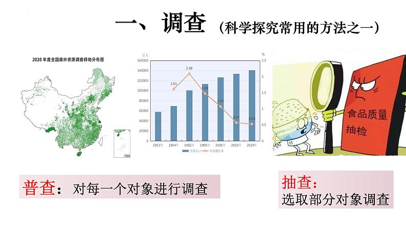 1.1.2 调查周边环境中的生物-【新课标】2023-2024学年七年级生物上册精选课件（人教版）05