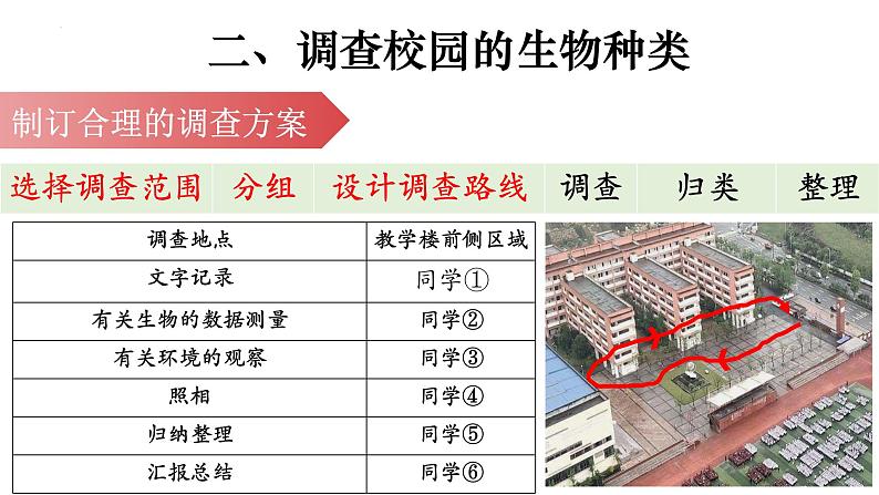 1.1.2 调查周边环境中的生物-【新课标】2023-2024学年七年级生物上册精选课件（人教版）08