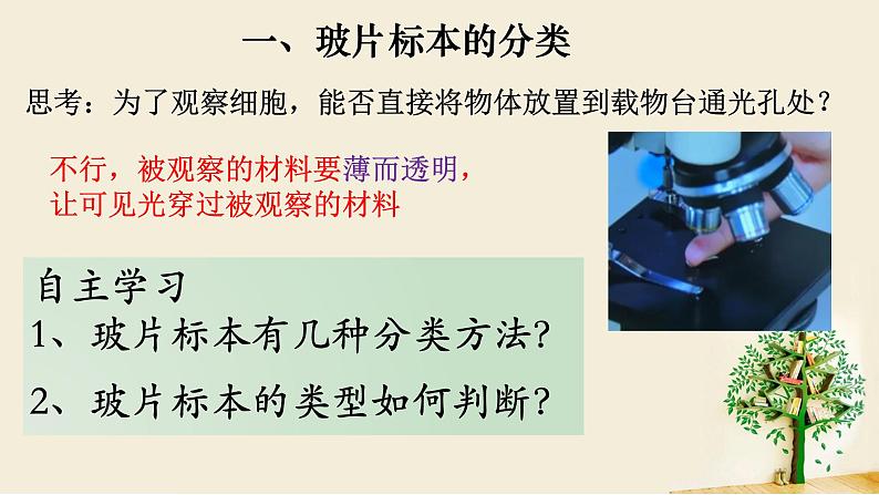 2.1.2 植物细胞-【新课标】2023-2024学年七年级生物上册精选课件（人教版）第2页