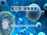 2.1.3 动物细胞-【新课标】2023-2024学年七年级生物上册精选课件（人教版）