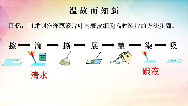 2.1.3 动物细胞-【新课标】2023-2024学年七年级生物上册精选课件（人教版）第2页