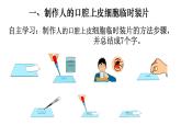 2.1.3 动物细胞-【新课标】2023-2024学年七年级生物上册精选课件（人教版）