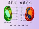 2.1.4 细胞的生活-【新课标】2023-2024学年七年级生物上册精选课件（人教版）