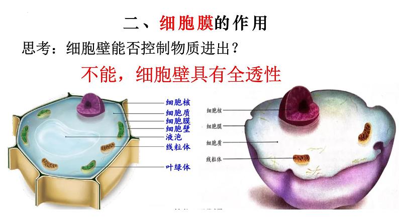 2.1.4 细胞的生活-【新课标】2023-2024学年七年级生物上册精选课件（人教版）07