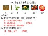 2.2.3 植物体的结构层次-【新课标】2023-2024学年七年级生物上册精选课件（人教版）
