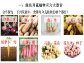 2.2.3 植物体的结构层次-【新课标】2023-2024学年七年级生物上册精选课件（人教版）