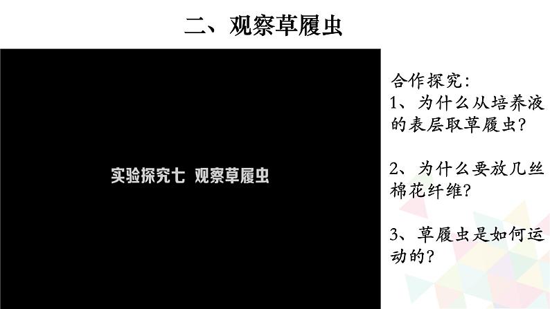 2.2.4 单细胞生物-【新课标】2023-2024学年七年级生物上册精选课件（人教版）第4页