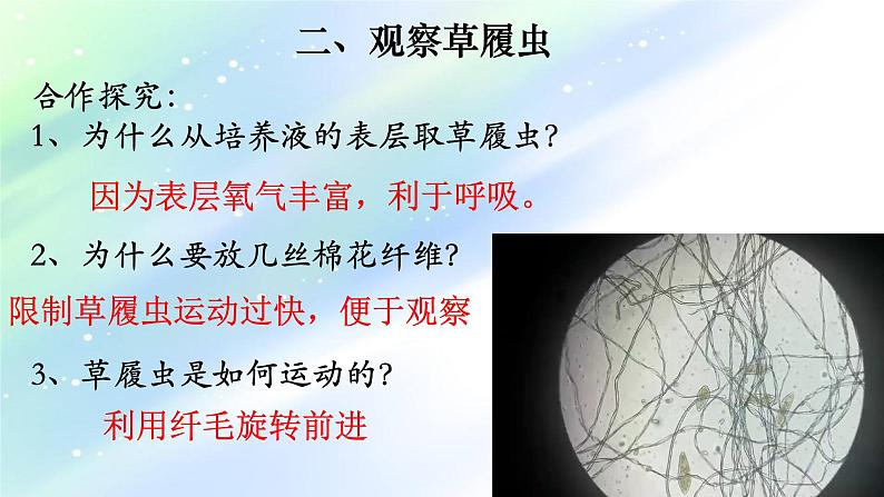 2.2.4 单细胞生物-【新课标】2023-2024学年七年级生物上册精选课件（人教版）第5页