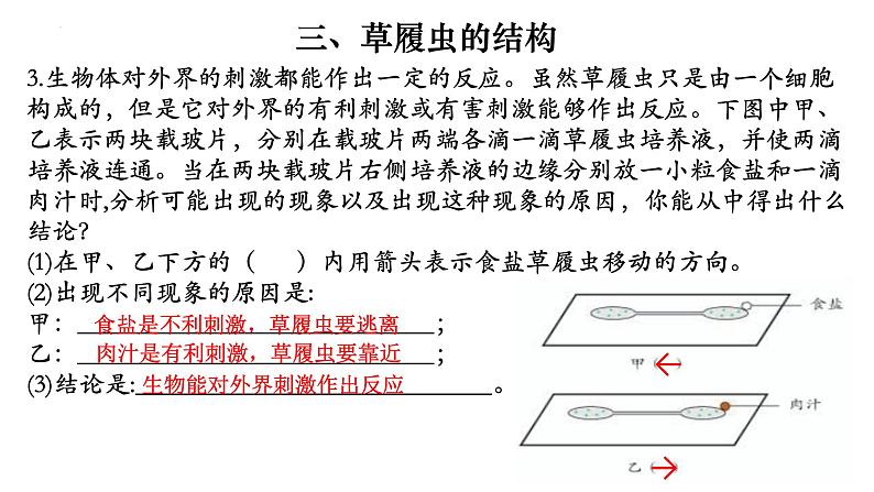 2.2.4 单细胞生物-【新课标】2023-2024学年七年级生物上册精选课件（人教版）第8页