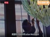 3.5.1 光合作用吸收二氧化碳释放氧气-【新课标】2023-2024学年七年级生物上册精选课件（人教版）