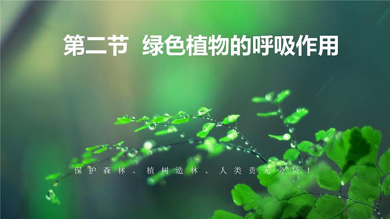 3.5.2 绿色植物的呼吸作用-【新课标】2023-2024学年七年级生物上册精选课件（人教版）第1页