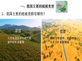3.6 爱护植被，绿化祖国-【新课标】2023-2024学年七年级生物上册精选课件（人教版）